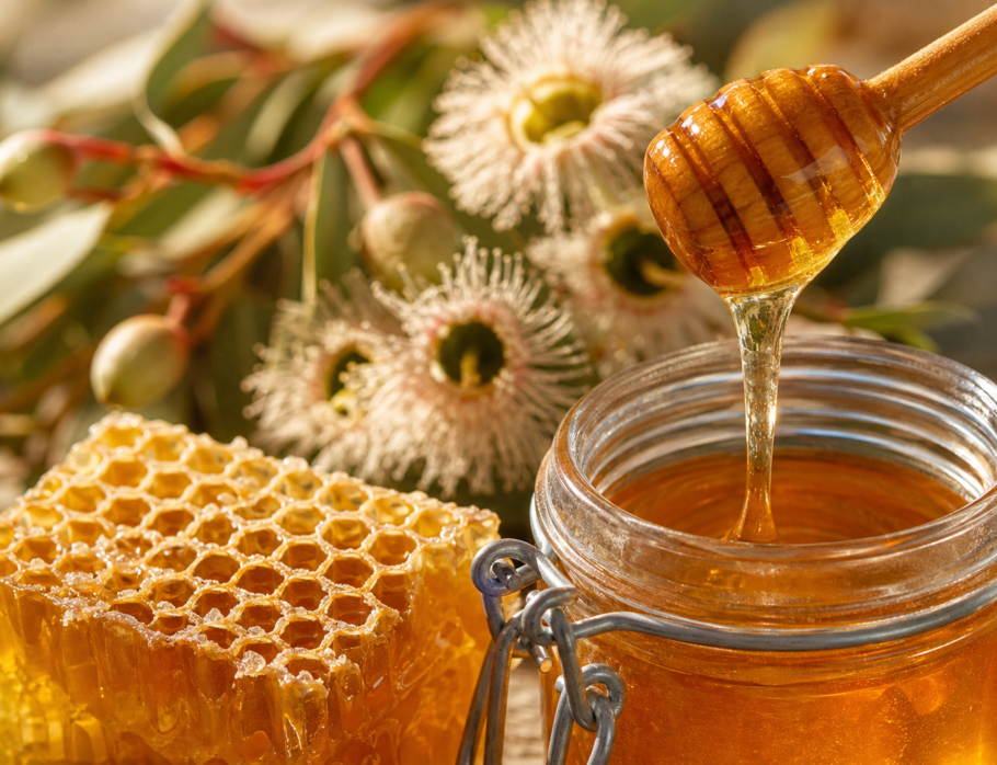 Raw honey dripping from a wooden dipper into a jar with native Australian eucalyptus blossom, showing the health benefits of raw honey