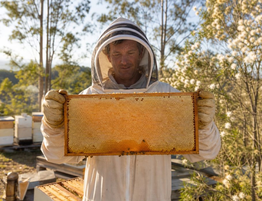 Beekeeper holding a honey frame among native Sunshine Coast flora