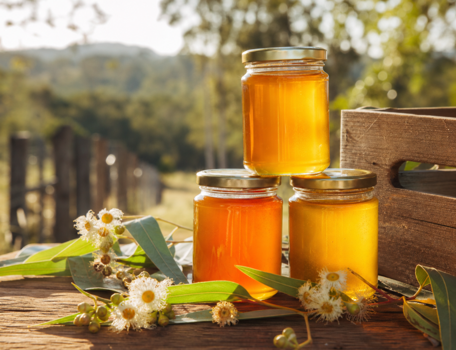 Three jars of golden Queensland raw honey with eucalyptus blossoms on a rustic wooden table